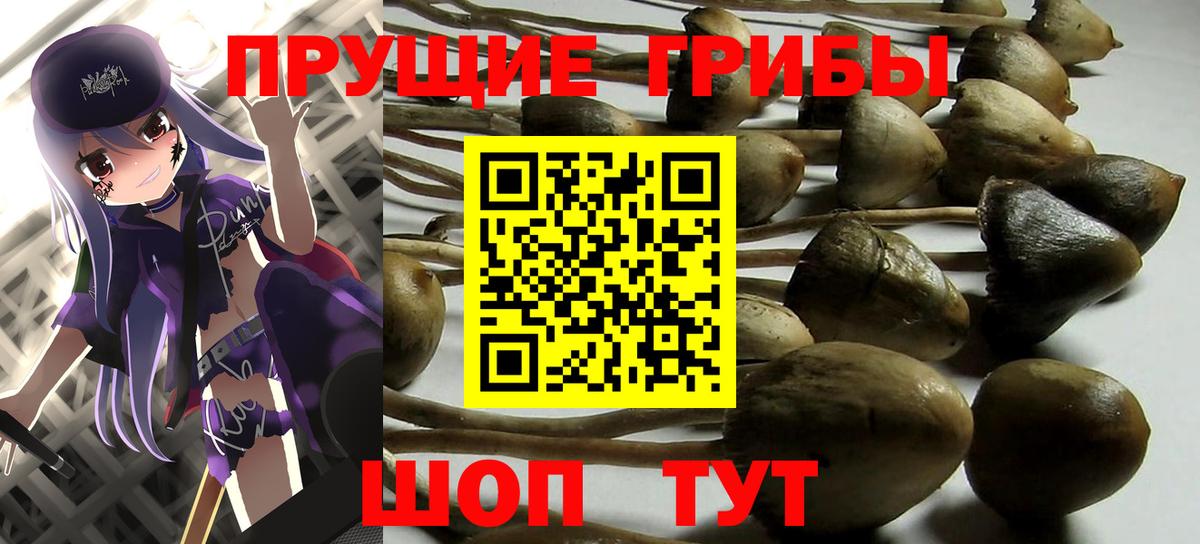 Галлюциногенные грибы GOLDEN TEACHER  Вход с VPN  Галлюциногенные грибы GOLDEN TEACHER  Ленинск-Кузнецкий 